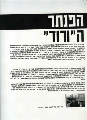 הפנתרים השחורים עמוד60